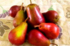 Anjou Harvest