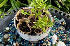 Coastal Birdbath with Tomatoes
