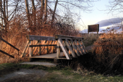 Bridge To Tomorrows