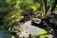 Bench