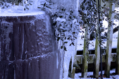 Frozen Rain Barrel
