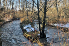 Melt Season on Bear Creek