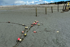 Shoal Floats Chained at Low Tide